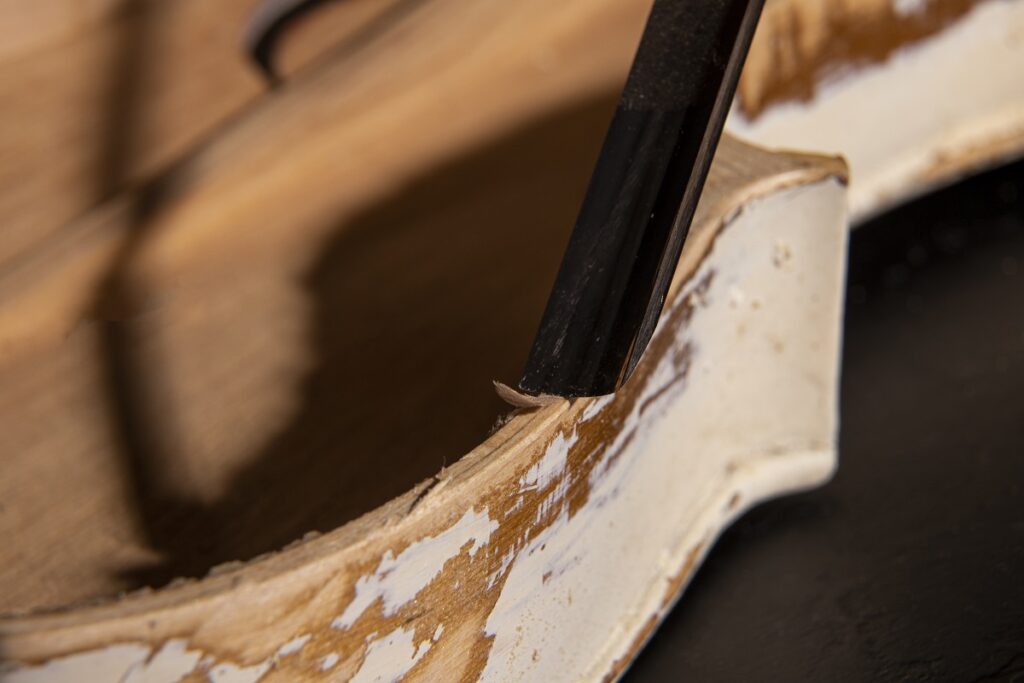 rosewood binding rosewood binding