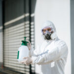 Pest Control Services